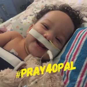 Meet your Posher, Allie